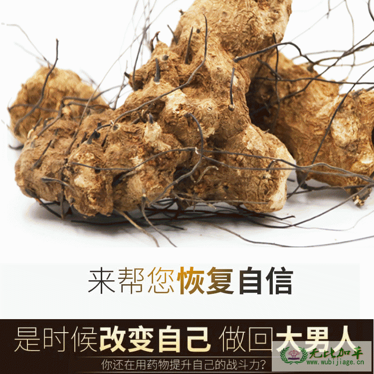 无比加革有什么禁忌