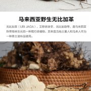 无比加革简装