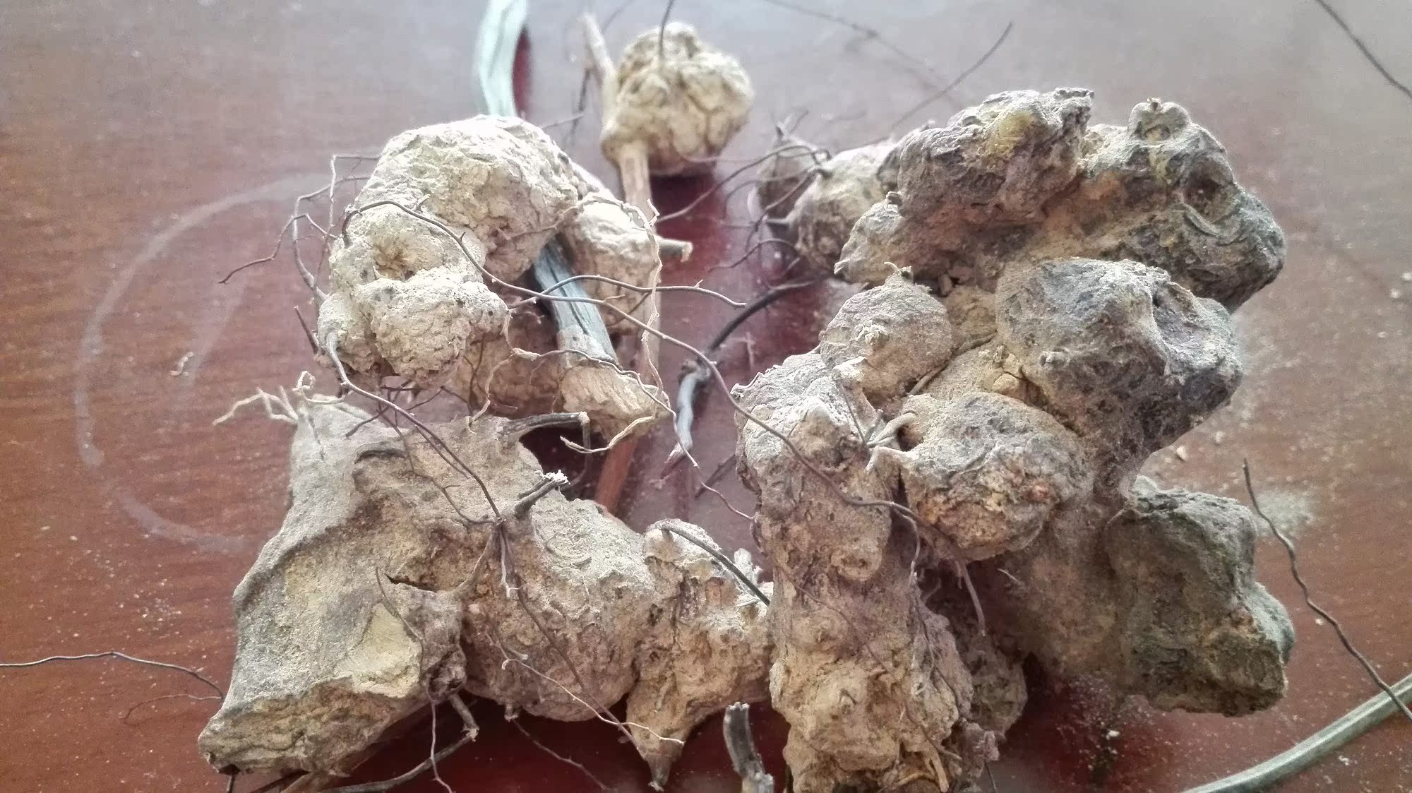 无比加革的功效与禁忌 无比加革的功效和用法